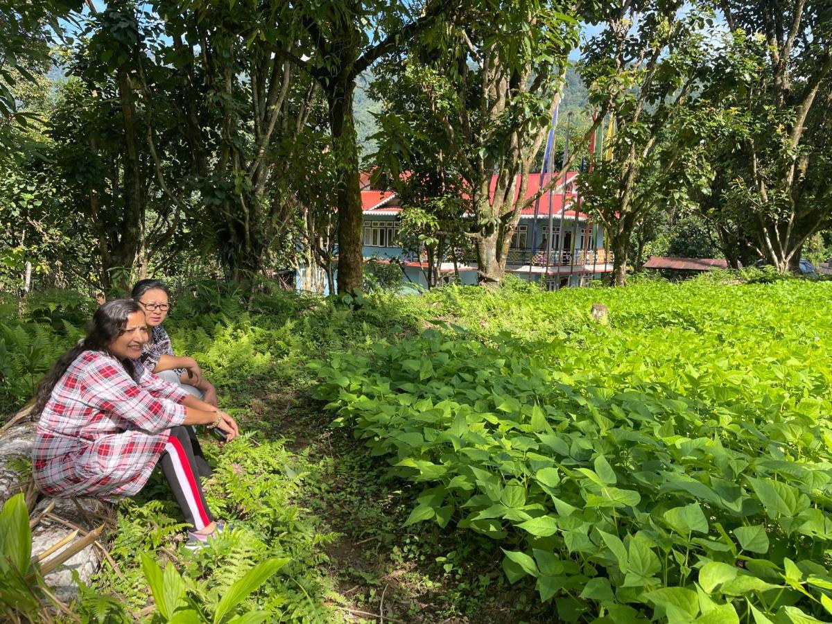 Khimsha Homestay Pelling Exteriér fotografie